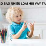 Các loại Hụi thường gặp Các loại hụi thường gặp