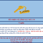 Bán tên miền NFT – lĩnh vực hot nhất giới đầu tư 6. Ten mien NFT.vn
