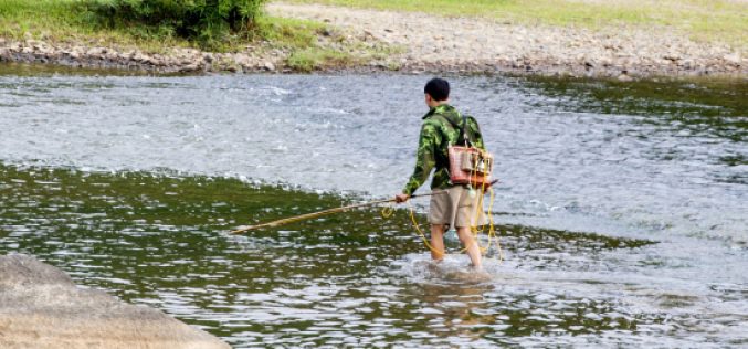 Kích điện đánh bắt cá – Nguy hại cho môi trường và tính mạng con người
