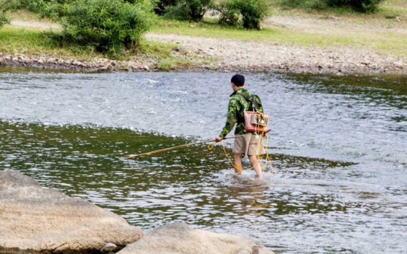 Kích điện đánh bắt cá – Nguy hại cho môi trường và tính mạng con người