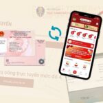 Hướng dẫn kiểm tra, cập nhật bằng lái xe mới gia hạn lên VNeID 250826 - Huong dan kiem tra, cap nhat bang lai moi gia han len VNeID - Thanh